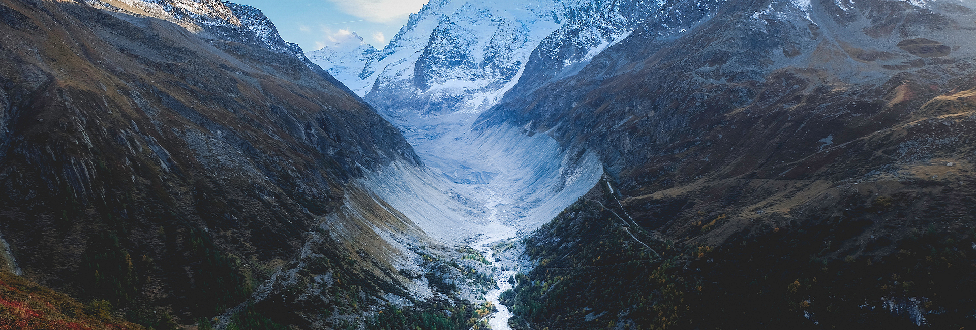 Chronicles of Curiosity: Unveiling Hidden Gems